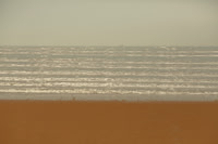 wave #230
