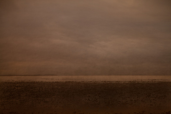 shoreline #25