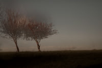 autumn #13