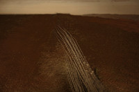wire #7
