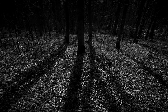shadows #3
