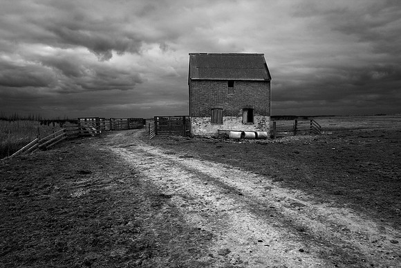 Home on the range