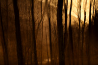 north west frontier #5