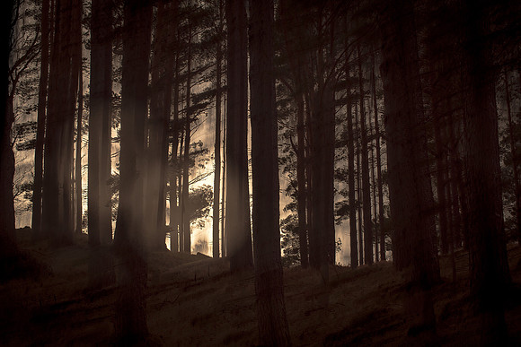 scotland1976