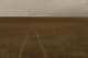 field 2