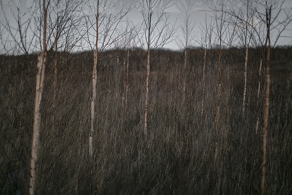05-01-14-67