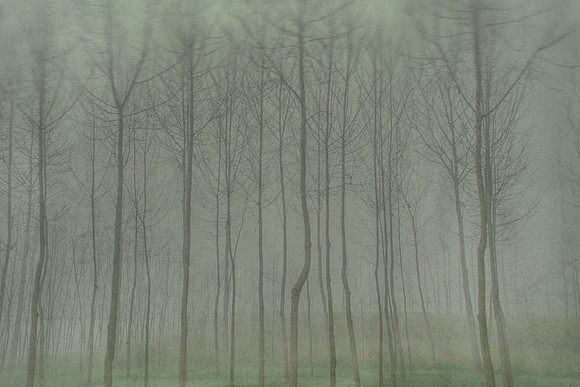 haridwar #706-4