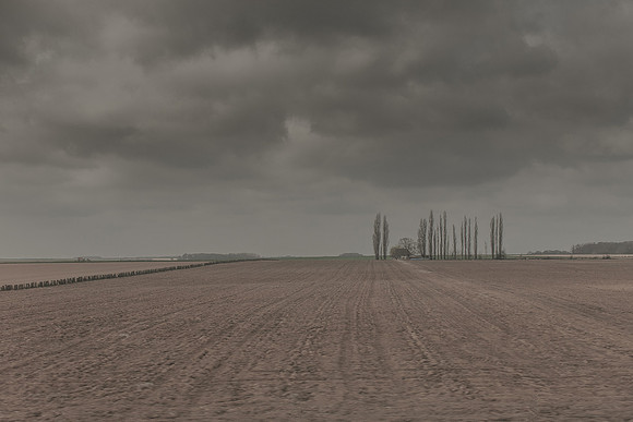 donostia #41