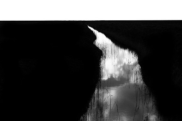 250315#391