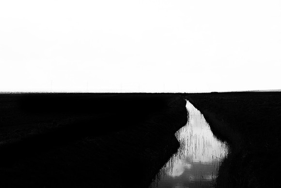 250315#343