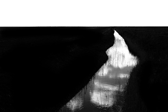 250315#347