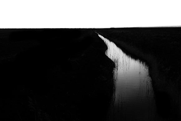 250315#333