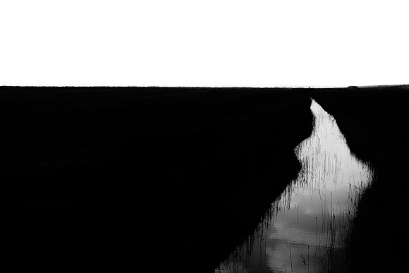 250315#346