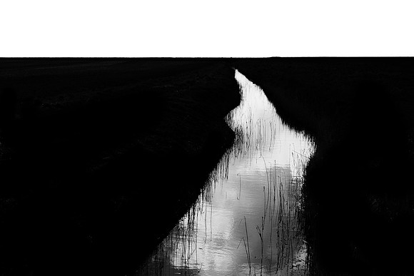 250315#371