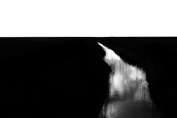 250315#393