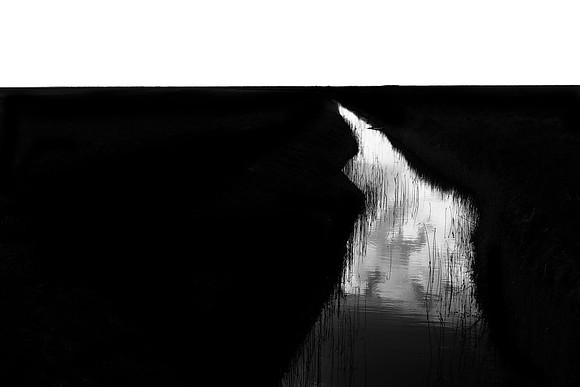 250315#407