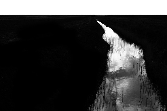 250315#387