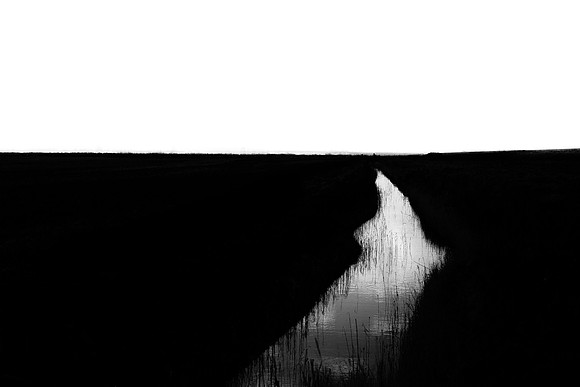 250315#356
