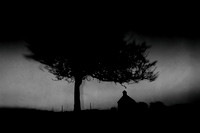 2011-11-11-320-5
