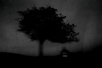 2011-11-11-320-4
