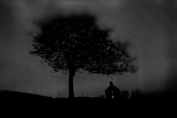 2011-11-11-320-2