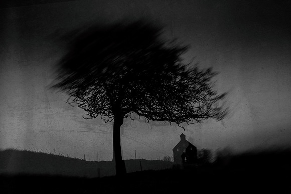 2011-11-11-320-7