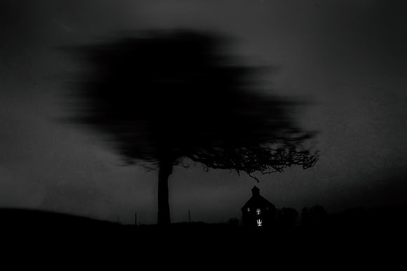 2011-11-11-320-3-2