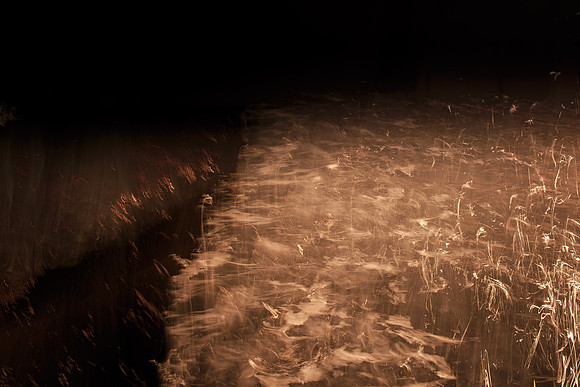 030214 #365