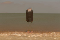 2013-04-25-313