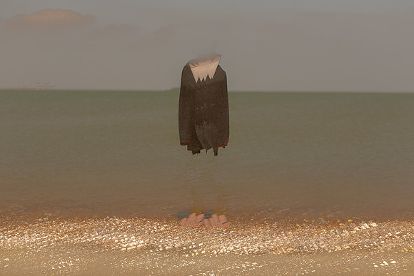 2013-04-25-313