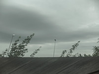 paris-253