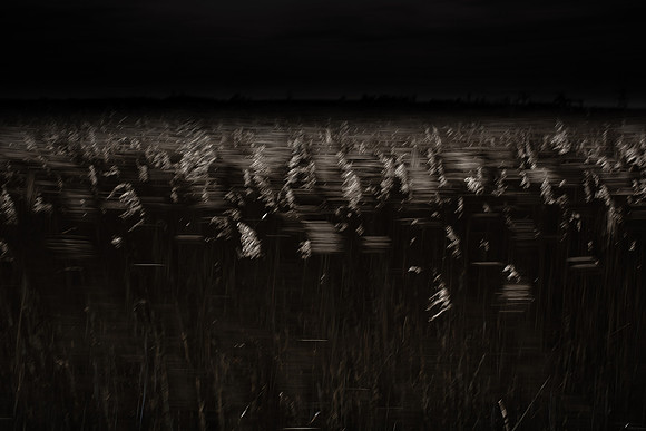 050315#198