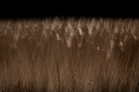 050315#163