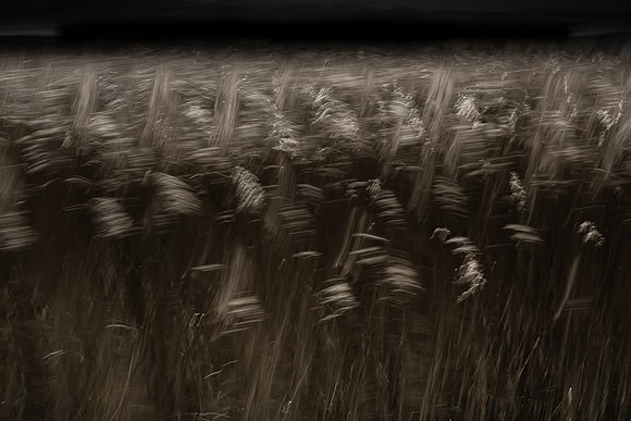 050315#128