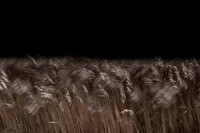 050315#43