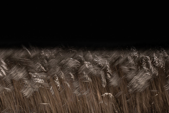 050315#43