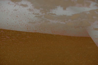 2013-03-18-111