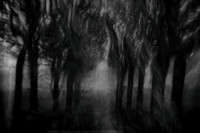 IMG_0189-3-2