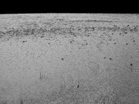 290717-13