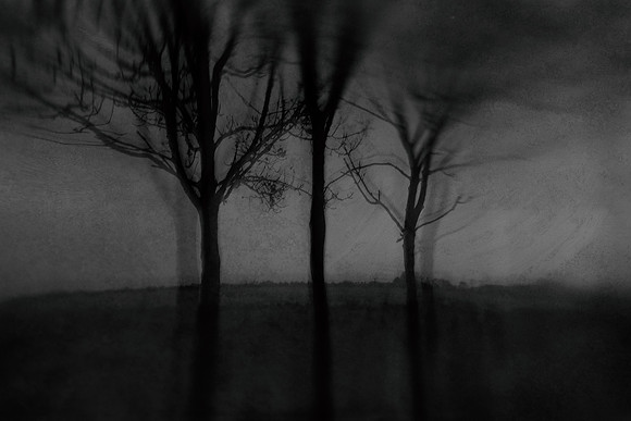 2011-11-15-9-2