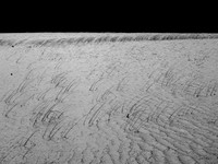 290717-7