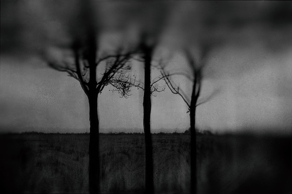 2011-11-15-9-6