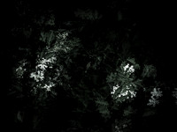 190616-11-5