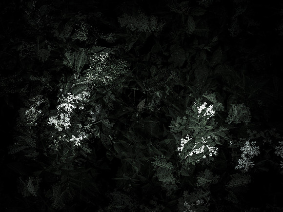 190616-11-5