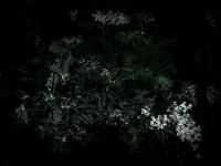 190616-11-16
