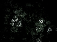 190616-11-13