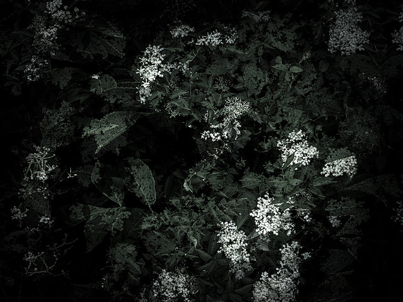 190616-11-12