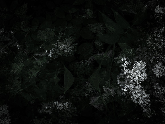 190616-11-18