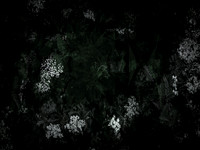 190616-11-4