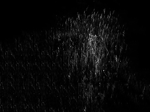 010617-152-8